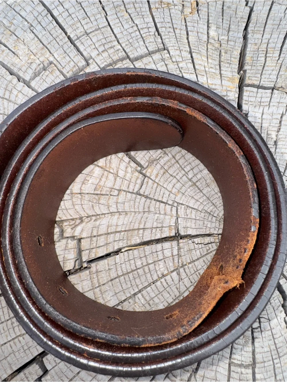 Gucci Brown Leather Belt with Silver-Tone Buckle